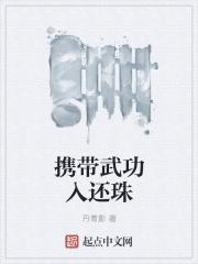 携带武功入还珠
