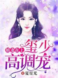 娇妻在上:玺少,高调宠
