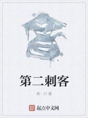 第二刺客