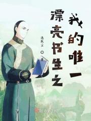 漂亮书生之我的唯一