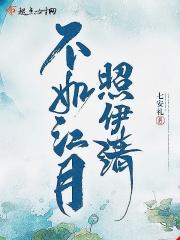 不如江月照伊清