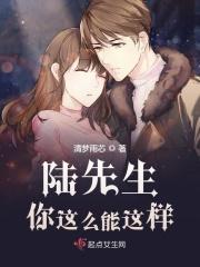 陆先生你怎么能这样