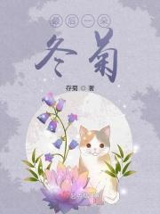 最后一朵冬菊