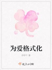 为爱格式化