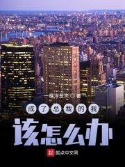 成了总裁的我该怎么办