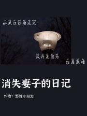 消失妻子的日记