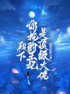 殿下,你抢的王妃是顶级大佬
