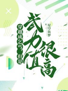 穿越成了乞丐,但是武力值很高