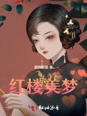 红楼美梦